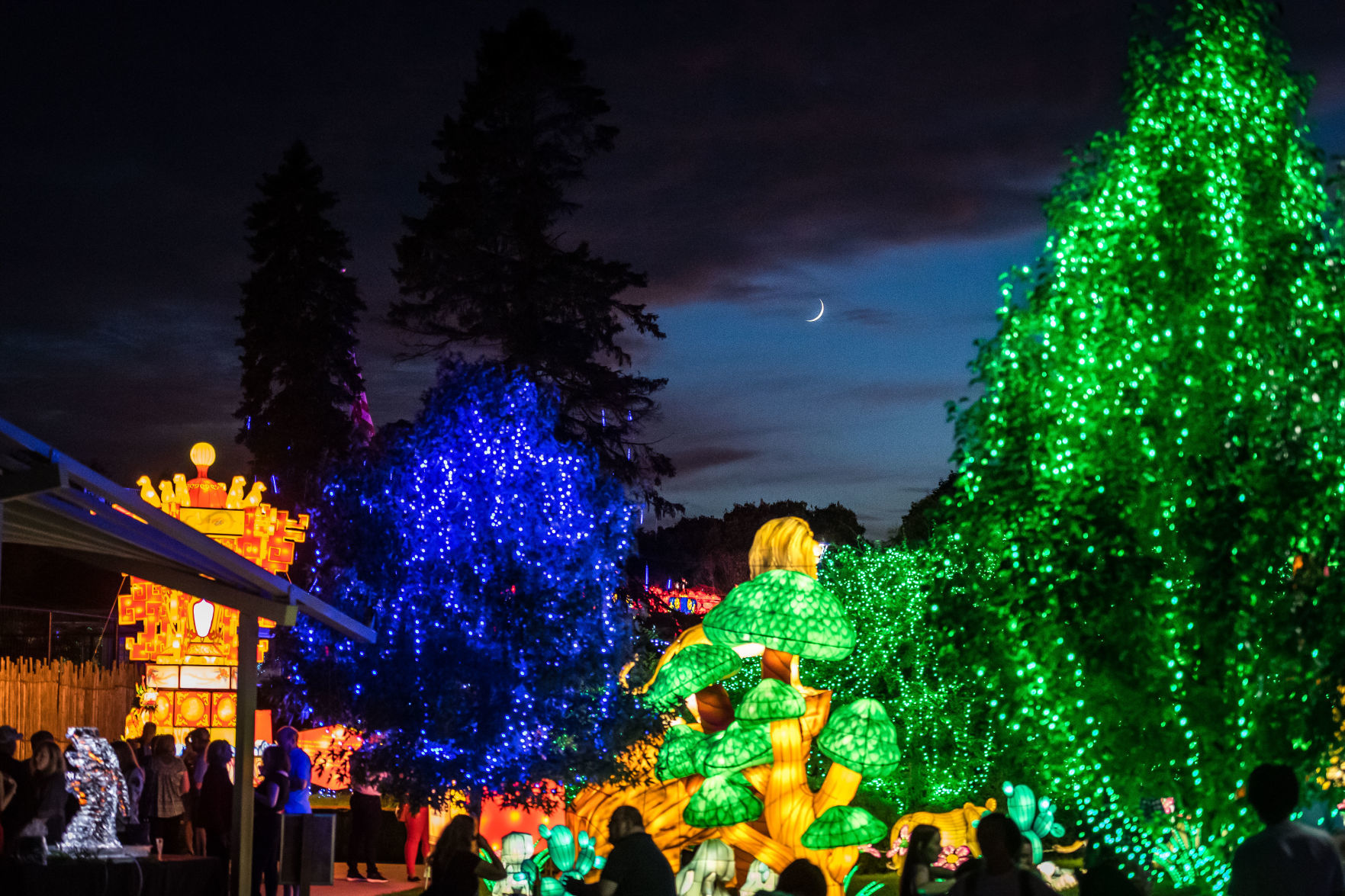 Lantern Festival